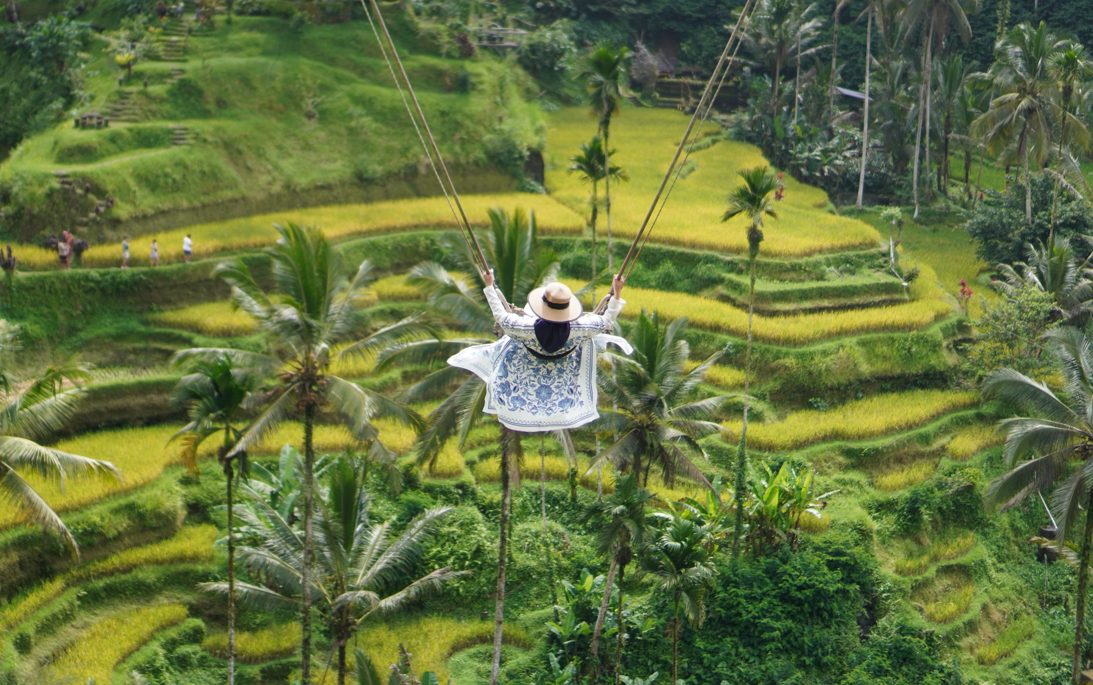 Ubud Temples and Waterfalls